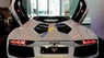 Lamborghini Aventado Roadster 2016 - Bán Lamborghini Aventado Roadster năm sản xuất 2016, màu trắng, xe nhập