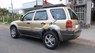 Ford Escape XLT 2002 - Bán Ford Escape XLT đời 2002, màu vàng cát