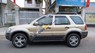 Ford Escape XLT 2002 - Bán Ford Escape XLT đời 2002, màu vàng cát