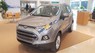 Ford EcoSport Titanium 1.5AT 2017 - Cần bán Ford EcoSport Titanium 1.5AT sản xuất năm 2017, màu xám