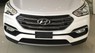 Hyundai Santa Fe ĐẶC BIỆT 2016 - Bán ô tô Hyundai Santa Fe ĐẶC BIỆT đời 2017, màu trắng,bạc , đen , vàng cát