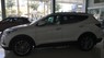 Hyundai Santa Fe ĐẶC BIỆT 2016 - Bán ô tô Hyundai Santa Fe ĐẶC BIỆT đời 2017, màu trắng,bạc , đen , vàng cát