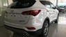 Hyundai Santa Fe ĐẶC BIỆT 2016 - Bán ô tô Hyundai Santa Fe ĐẶC BIỆT đời 2017, màu trắng,bạc , đen , vàng cát