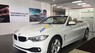 BMW 4 Series 420i 2016 - BMW 420i Cabriolet, chính hãng, dòng xe giới hạn tại Việt Nam