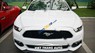 Ford Mustang 2.3L Ecoboost 2016 - Bán xe Ford Mustang 2.3L Ecoboost đời 2016, nhập khẩu