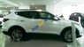 Hyundai Santa Fe 2017 - Cần bán xe Hyundai Santa Fe sản xuất 2017, màu trắng, giá tốt