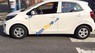 Kia Morning VAN 2017 - Bán ô tô Kia Morning VAN năm sản xuất 2017, màu trắng, nhập khẩu giá cạnh tranh