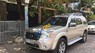 Ford Everest   MT 2011 - Bán Ford Everest MT năm 2011, màu vàng đã đi 55000 km, giá tốt