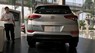 Hyundai Tucson   2017 - Bán ô tô Hyundai Tucson đặc biệt 2017, các màu, nhập khẩu nguyên chiếc, 968tr