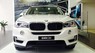 BMW X5 xDrive35i 2017 - Bán xe BMW X5 xDrive35i đời 2017, màu trắng, nhập khẩu chính hãng