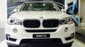 BMW X5 xDrive35i 2017 - Bán xe BMW X5 xDrive35i đời 2017, màu trắng, nhập khẩu chính hãng