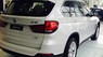 BMW X5 xDrive35i 2017 - Bán xe BMW X5 xDrive35i đời 2017, màu trắng, nhập khẩu chính hãng