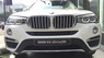 BMW X4 xDrive20i 2017 - Bán BMW X4 xDrive20i 2017, màu trắng, nhập khẩu nguyên chiếc. Giá xe BMW X4. Bán xe BMW X4 giá rẻ nhất
