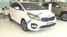 Kia Rondo 2017 - Bán Kia Rondo năm 2017, màu trắng, nhập khẩu, giá chỉ 639 triệu
