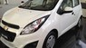 Chevrolet Spark LS 2017 - Bán Chevrolet Spark LS đời 2017, màu trắng