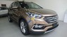 Hyundai Santa Fe CRDi 2.2AT 2017 - Bán Hyundai Santa Fe CRDi 2.2AT năm 2017, màu nâu, nhập khẩu nguyên chiếc