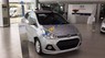 Hyundai Grand i10 2017 - Bán Hyundai Grand i10 sản xuất 2017, màu bạc, xe nhập  