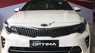 Kia Optima 2.4L GTline 2016 - Cần bán xe Kia Optima 2.4L GTline năm sản xuất 2016, màu trắng