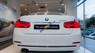 BMW 3 Series 320i 2017 - Bán BMW 3 Series 320i năm 2017, màu trắng, nhập khẩu nguyên chiếc