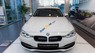 BMW 3 Series 330i 2017 - Bán ô tô BMW 3 Series 330i sản xuất năm 2017, màu trắng, xe nhập