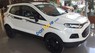 Ford EcoSport Titanium 1.5P AT 2017 - Cần bán xe Ford EcoSport Titanium 1.5P AT sản xuất 2017, màu trắng