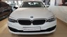 BMW 5 Series 520d 2017 - Bán xe BMW 5 Series (G30) 520d 2017 thế hệ mới, màu trắng, nhập khẩu chính hãng