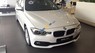 BMW 3 Series 320i 2017 - Bán xe BMW 3 Series 320i sản xuất 2017, màu trắng, xe nhập