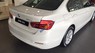 BMW 3 Series 320i 2017 - Bán xe BMW 3 Series 320i sản xuất 2017, màu trắng, xe nhập