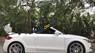 Audi TT 2008 - Bán ô tô Audi TT năm sản xuất 2008, màu trắng, nhập khẩu, giá 850tr