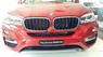 BMW X6 xDrive 30d 2017 - Bán xe BMW X6 xDrive 30d năm 2017, màu đỏ, xe nhập