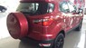 Ford EcoSport 2017 - Ford Ecosport 2017, hỗ trợ vay 80%, Ls 0.6%, LH: 0909099106