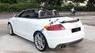 Audi TT Roadster 2008 - Bán Audi TT Roadster đời 2008, màu trắng, nhập khẩu