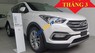 Hyundai Santa Fe 2017 - Bán ô tô Hyundai Santa Fe sản xuất năm 2017, màu trắng
