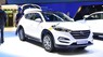 Hyundai Tucson 2017 - Bán Hyundai Tucson đời 2017, xe nhập 