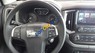 Chevrolet Colorado 4X4 AT 2017 - Bán Chevrolet Colorado 4X4 AT năm 2017, màu xám, giá tốt