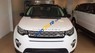 LandRover Discovery Sport HSE Luxury 2.0 2017 - Bán xe LandRover Discovery Sport HSE Luxury 2.0 sản xuất 2017, màu trắng, xe nhập