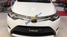 Toyota Vios   2017 - Bán xe Toyota Vios năm sản xuất 2017, màu trắng, giá 558tr