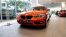 BMW 1 Series 118i 2017 - Bán ô tô BMW 1 Series 118i sản xuất năm 2017, nhập khẩu