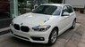 BMW 1 Series 118i 2017 - Bán xe BMW 1 Series 118i sản xuất 2017, màu trắng, nhập khẩu