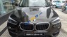 BMW X1 2017 - Bán xe BMW X1 sản xuất 2017, màu nâu