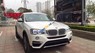 BMW X4 xDrive20i 2017 - Bán BMW X4 xDrive20i 2017, nhập khẩu