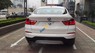 BMW X4 xDrive20i 2017 - Bán BMW X4 xDrive20i 2017, nhập khẩu