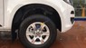 Chevrolet Colorado 2.5 4x2 MT 2017 - Bán Chevrolet Colorado 2.5 4x2 MT năm sản xuất 2017, màu trắng, xe nhập