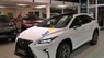 Lexus RX 200T Fsport 2017 - Bán ô tô Lexus RX 200T Fsport năm sản xuất 2017, màu trắng, xe nhập