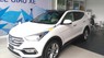 Hyundai Santa Fe 2017 - Bán ô tô Hyundai Santa Fe năm sản xuất 2017, màu trắng