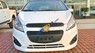 Chevrolet Spark Duo 1.2 LT  2017 - Bán ô tô Chevrolet Spark Duo 1.2 LT sản xuất năm 2017, màu trắng