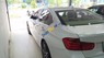 BMW 3 Series 320i 2013 - Cần bán gấp BMW 3 Series 320i sản xuất 2013, màu trắng, nhập khẩu