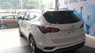 Hyundai Santa Fe 2017 - Bán ô tô Hyundai Santa Fe năm sản xuất 2017, màu trắng