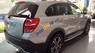 Chevrolet Captiva   AT 2016 - Bán Chevrolet Captiva AT sản xuất 2016, màu bạc