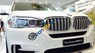 BMW X5 2.0 2017 - Bán BMW X5 2.0 năm sản xuất 2017, màu trắng, giá tốt